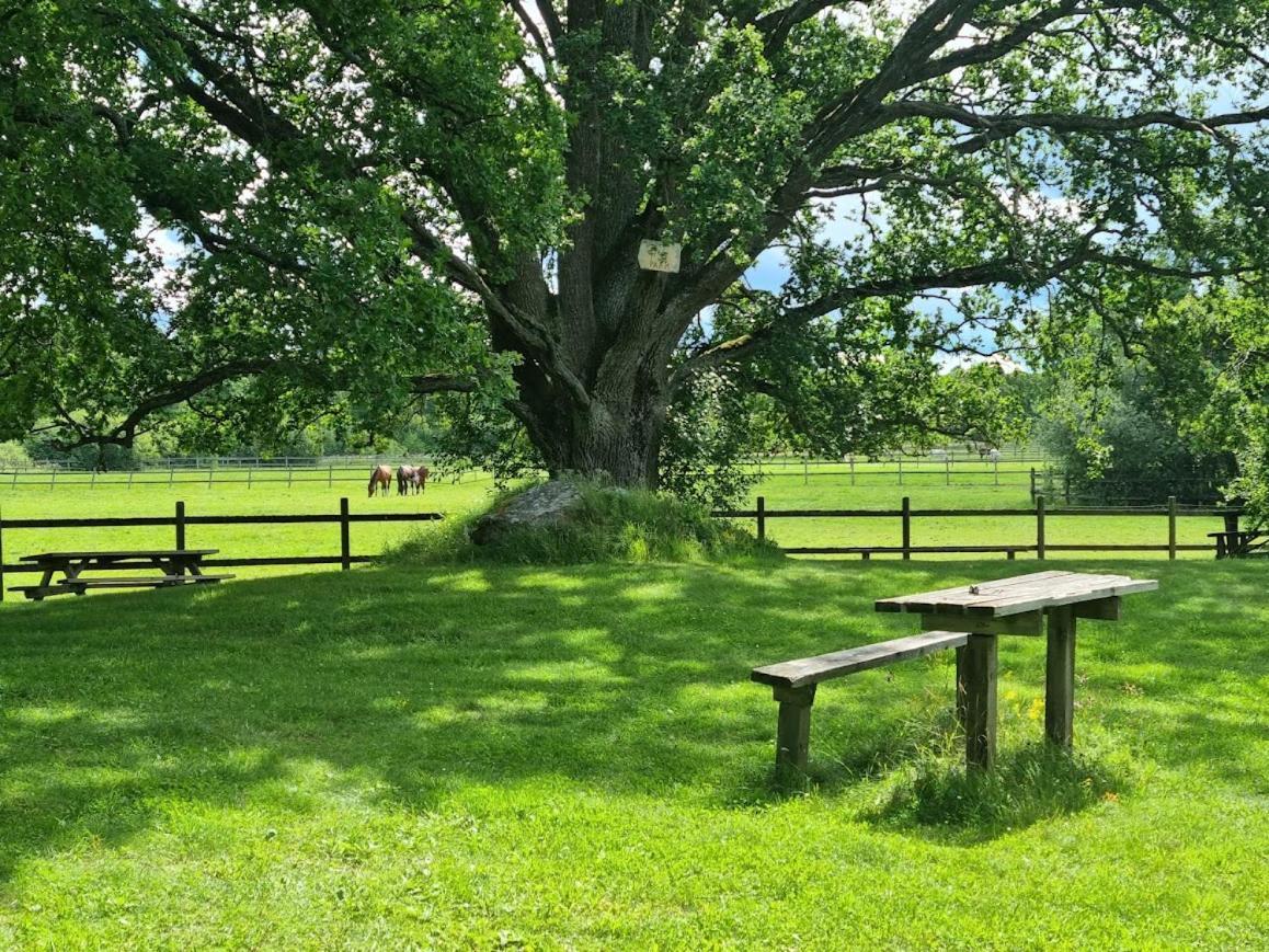 Thottska Villan Stromsholm エクステリア 写真