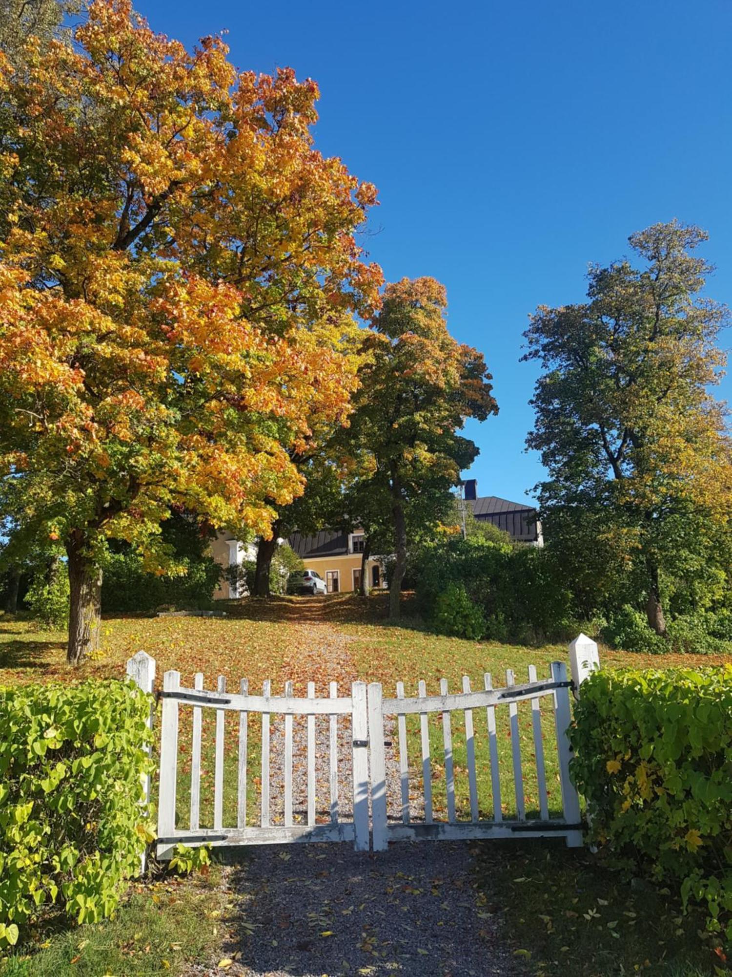 Thottska Villan Stromsholm エクステリア 写真